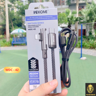 CÁP SẠC NHANH WDC 42