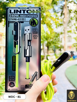 CÁP SẠC NHANH WEKOME WDC - 81